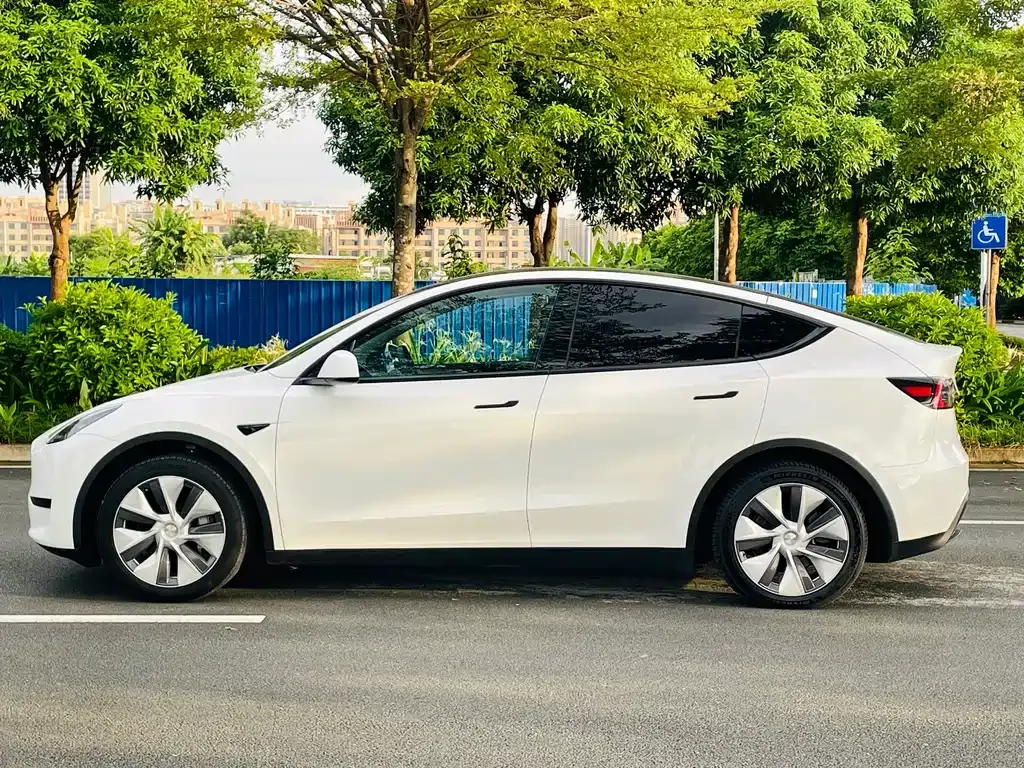 Tesla Model Y — фото 6
