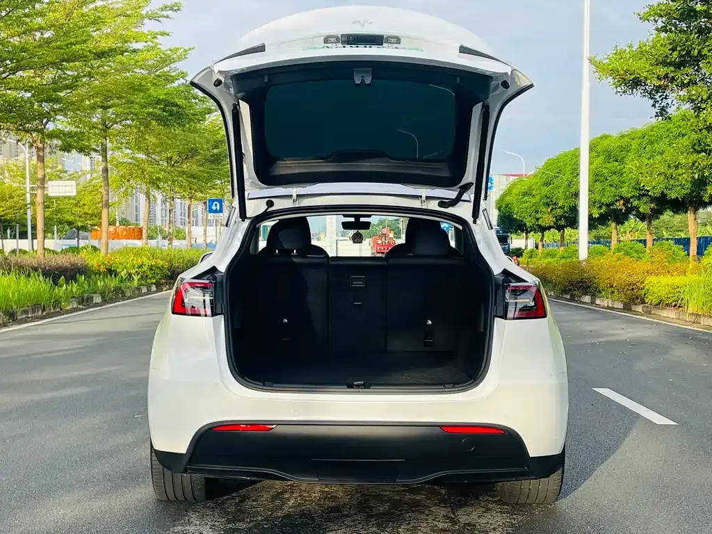 Tesla Model Y — фото 5