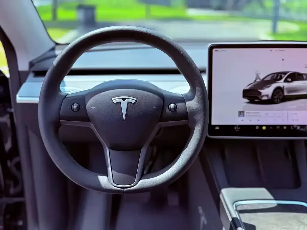 Tesla Model Y — фото 2
