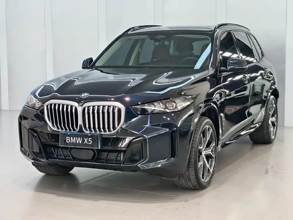 BMW X5 — фото 1