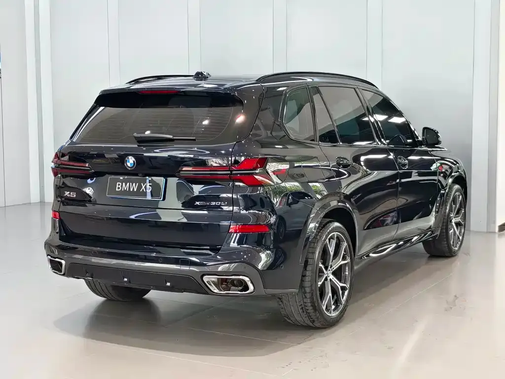 BMW X5 — фото 9