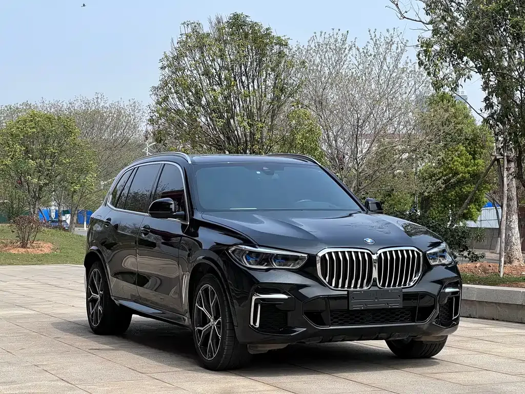 BMW X5 — фото 8