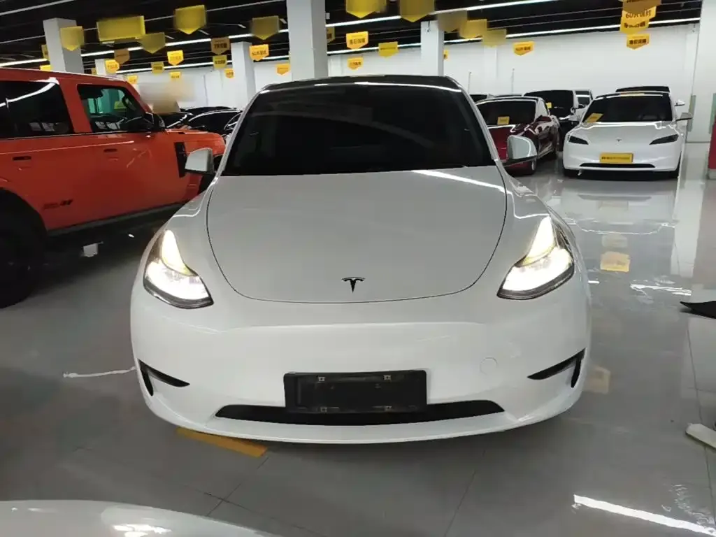 Tesla Model Y — фото 9
