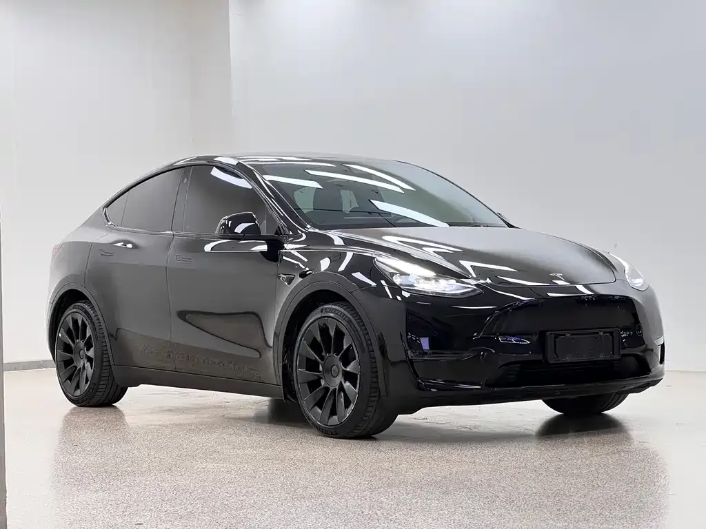 Tesla Model Y — фото 9