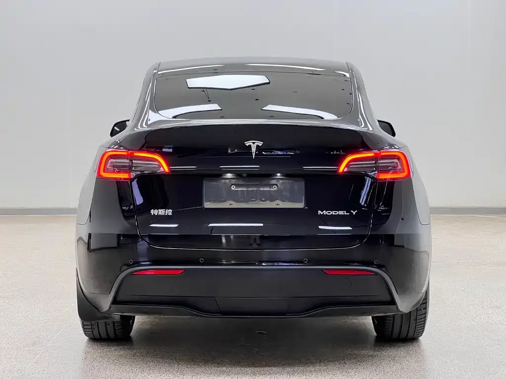 Tesla Model Y — фото 5