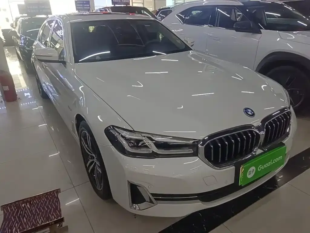BMW 5 Series New Energy — фото 10