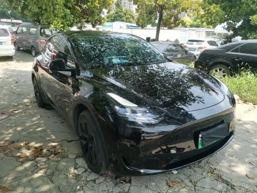 Tesla Model Y — фото 10