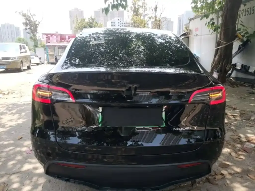 Tesla Model Y — фото 6