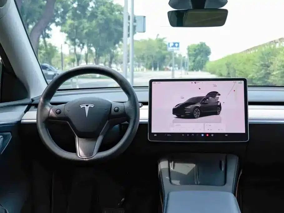 Tesla Model Y — фото 9