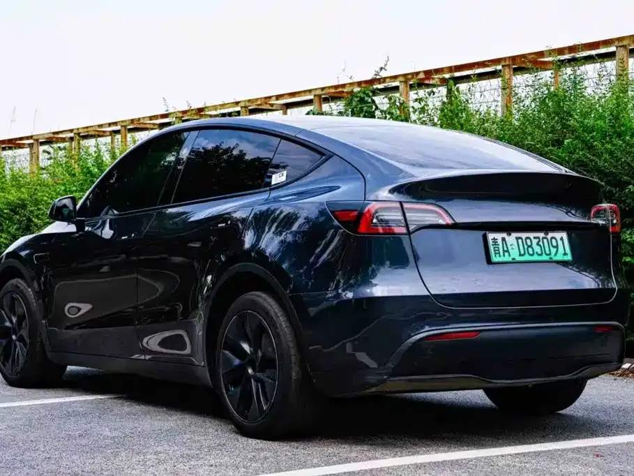 Tesla Model Y — фото 3