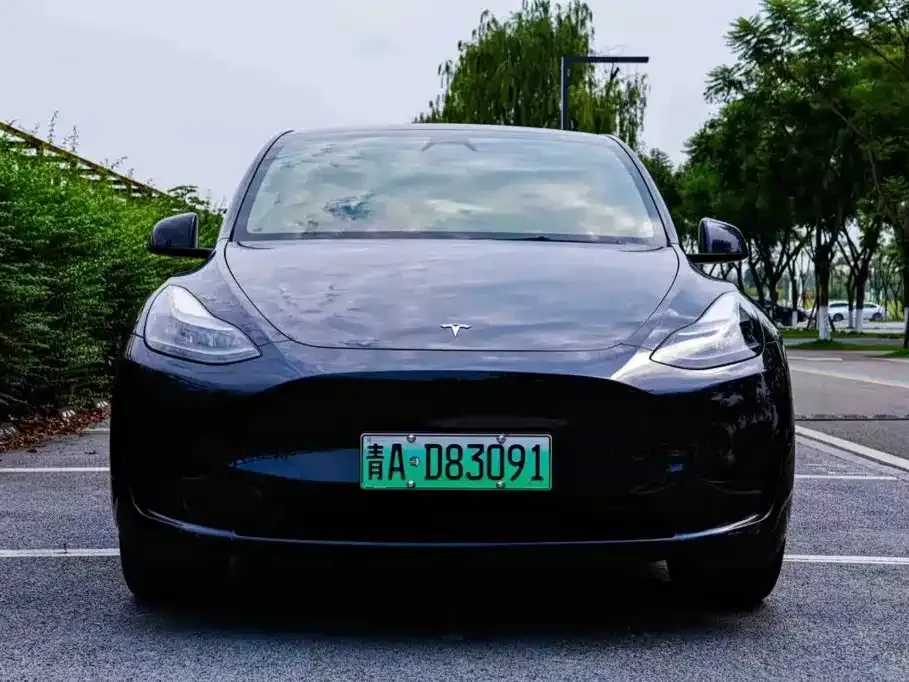 Tesla Model Y — фото 2