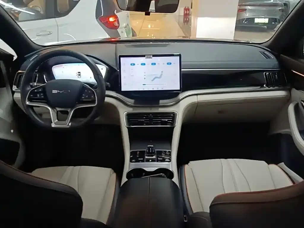 BYD PLUS New Energy 2024 из CN, фото 8