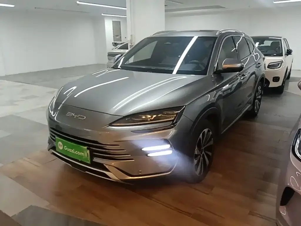 BYD PLUS New Energy 2024 из CN, фото 2