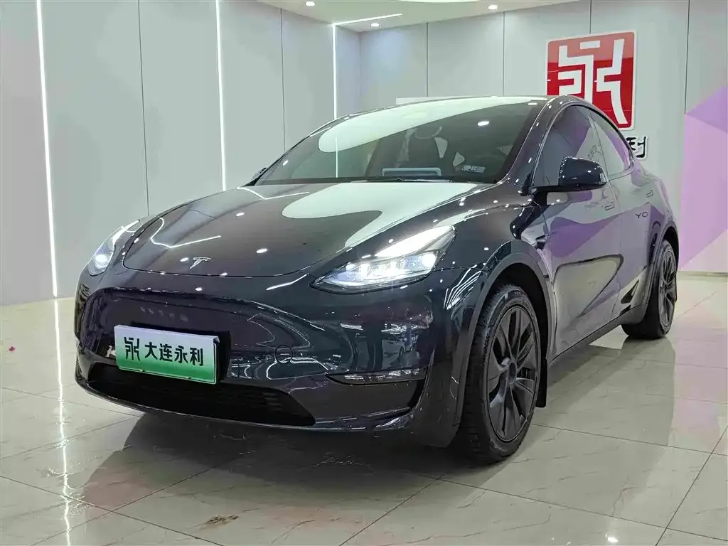 Tesla Model Y — фото 1