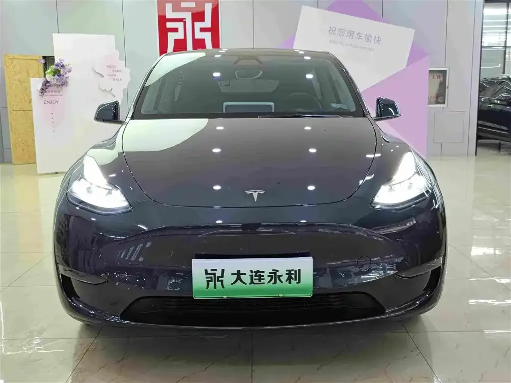 Tesla Model Y — фото 2