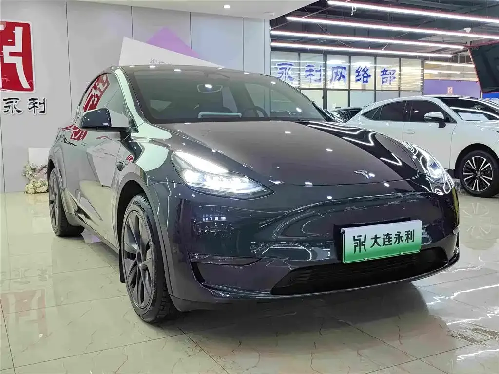 Tesla Model Y — фото 10