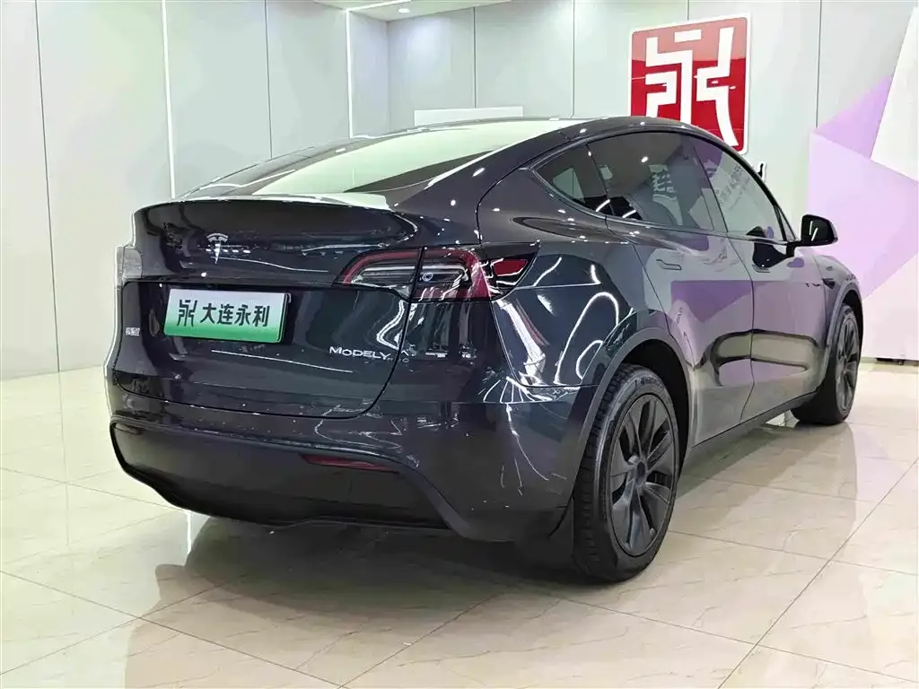 Tesla Model Y — фото 5