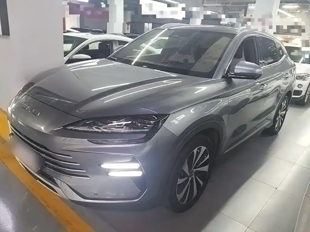 BYD PLUS New Energy — фото 1