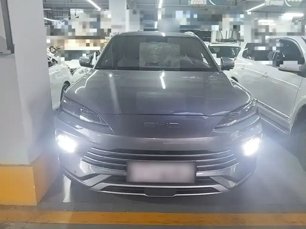 BYD PLUS New Energy — фото 2