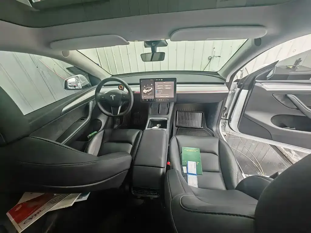 Tesla Model Y — фото 10