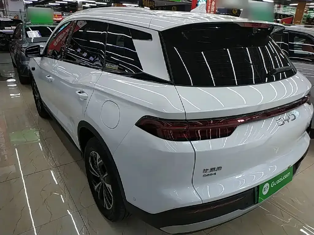 BYD Pro New Energy — фото 7