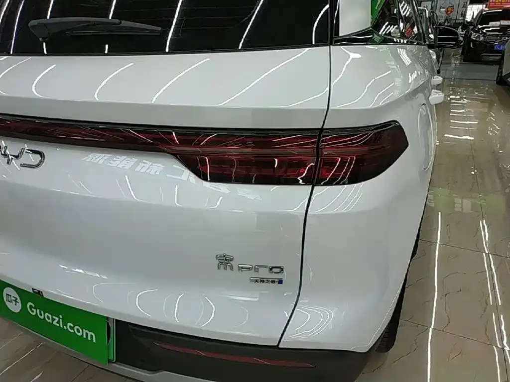 BYD Pro New Energy — фото 8