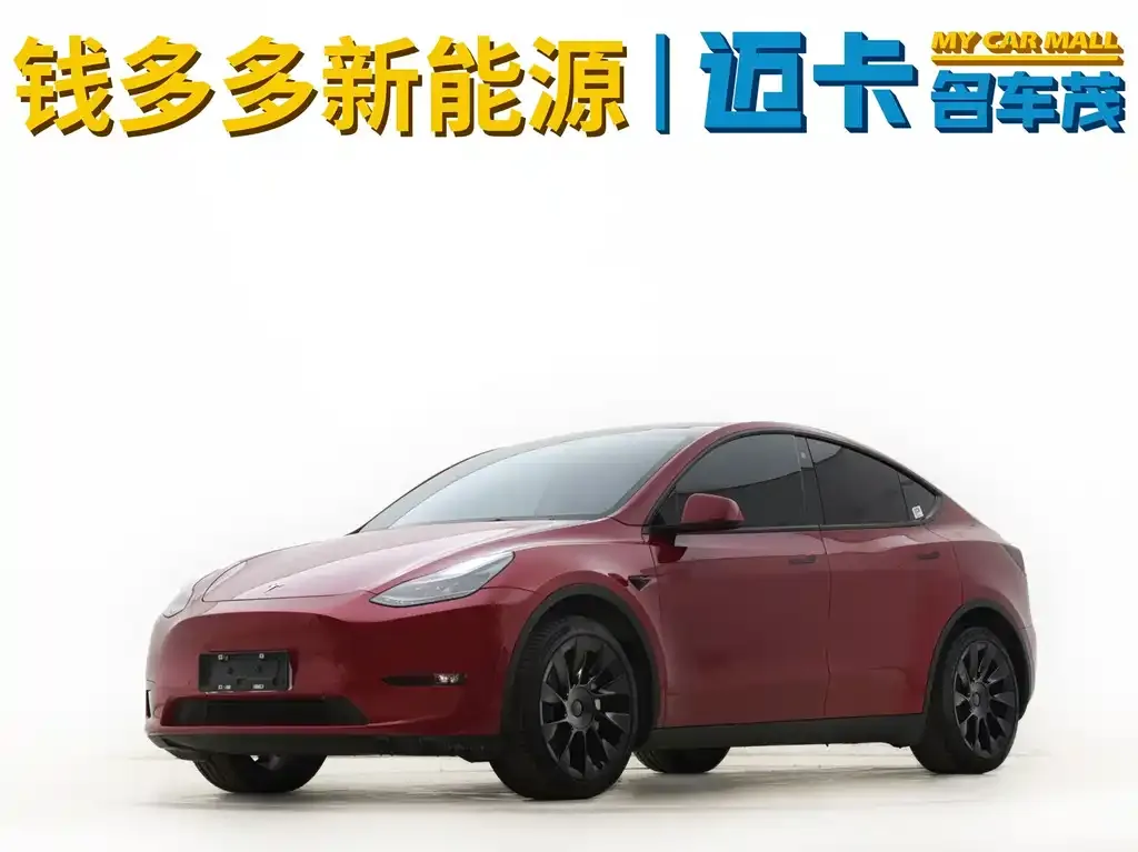 Tesla Model Y — фото 1