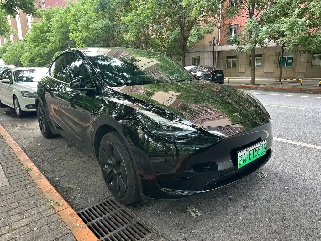 Tesla Model Y — фото 1
