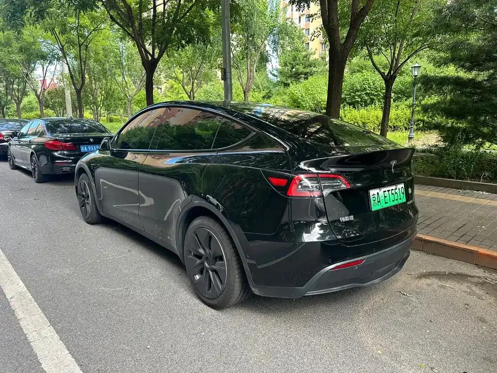 Tesla Model Y — фото 9