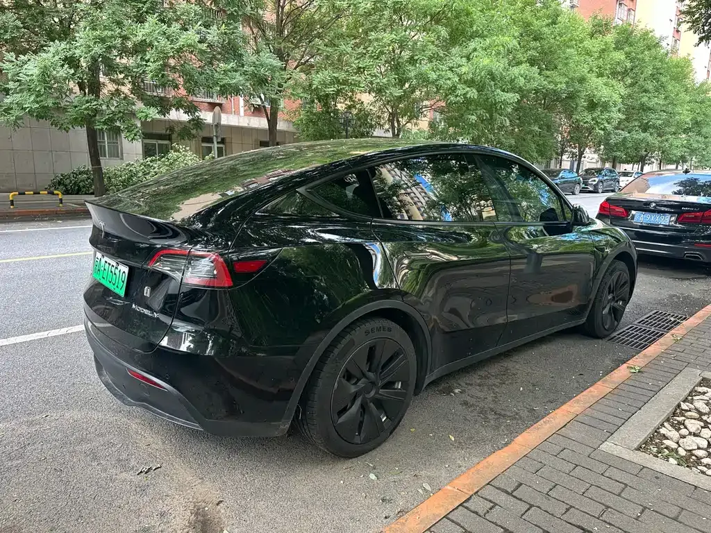 Tesla Model Y — фото 10