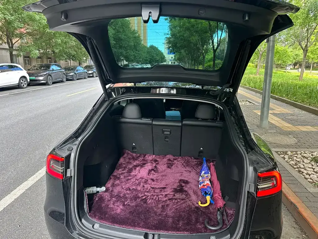 Tesla Model Y — фото 6