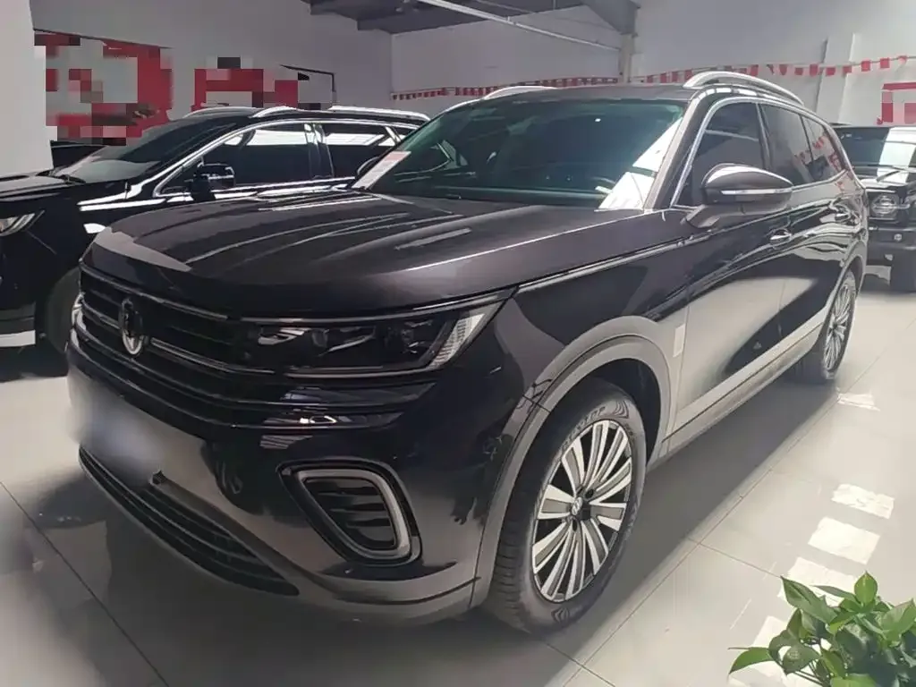 Volkswagen Tavendor 2024 из CN, фото 7