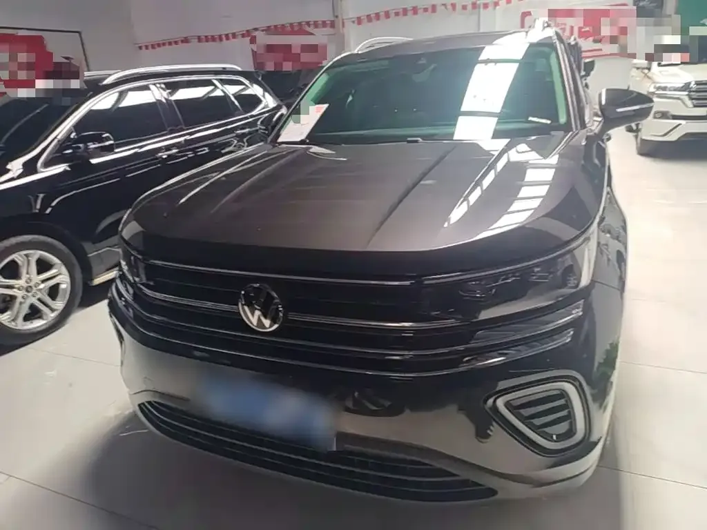 Volkswagen Tavendor 2024 из CN, фото 8