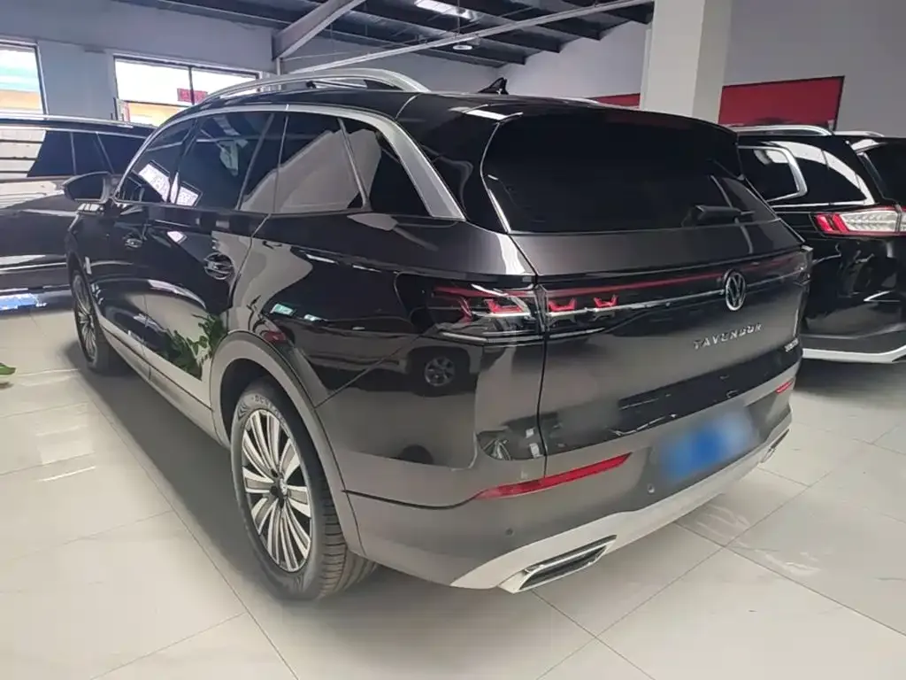 Volkswagen Tavendor 2024 из CN, фото 4