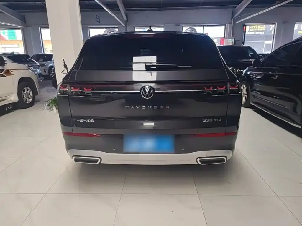 Volkswagen Tavendor 2024 из CN, фото 6