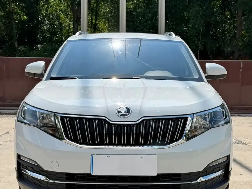Skoda Kamiq 2023 из CN, фото 3