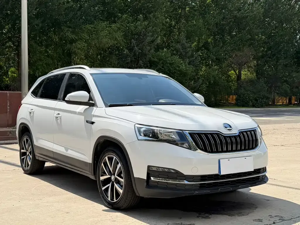 Skoda Kamiq 2023 из CN, фото 8