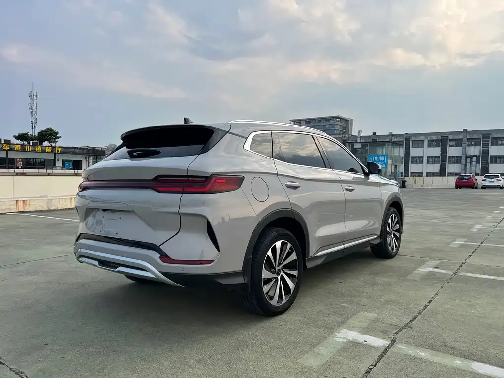 BYD PLUS New Energy — фото 3