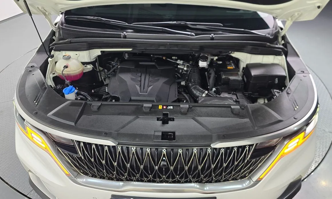 Kia Carnival — фото 10