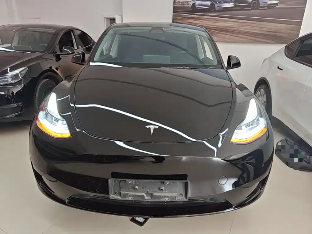 Tesla Model Y — фото 9