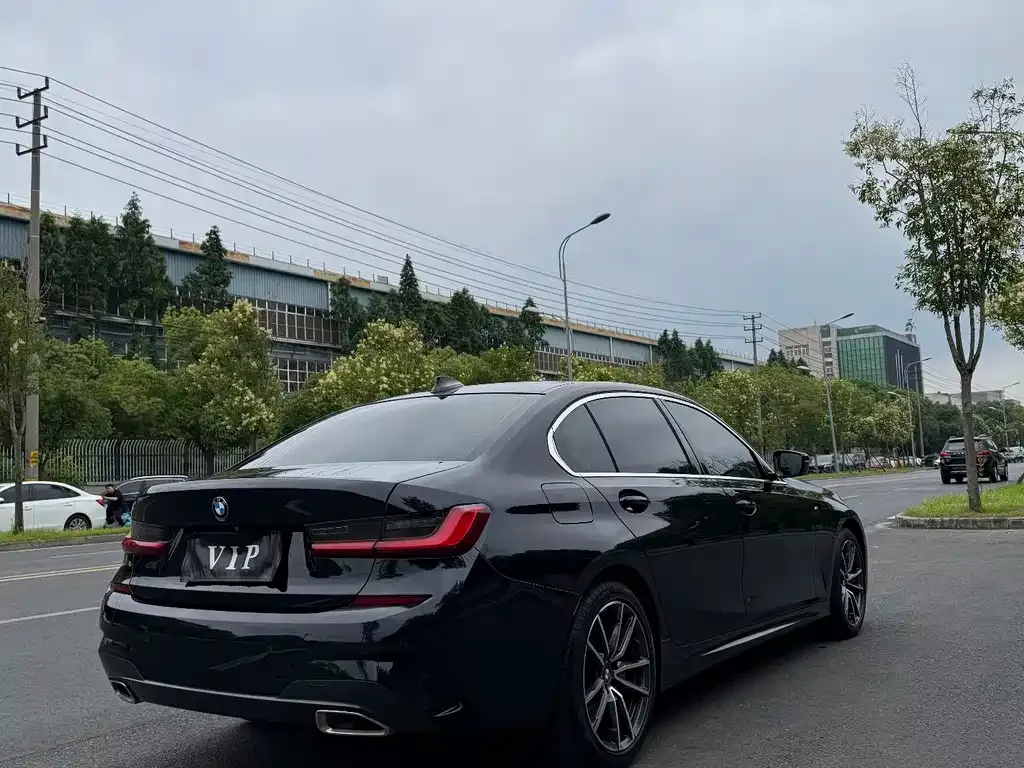 BMW 3 Series 2021 из CN, фото 6