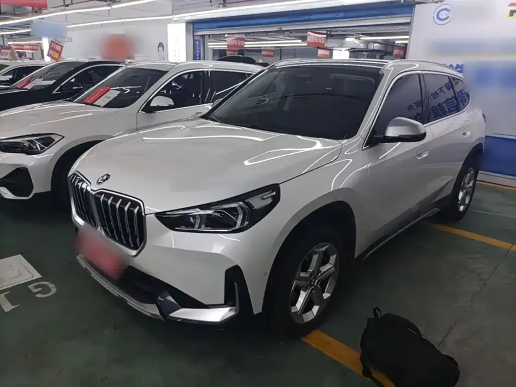 BMW X1 — фото 1