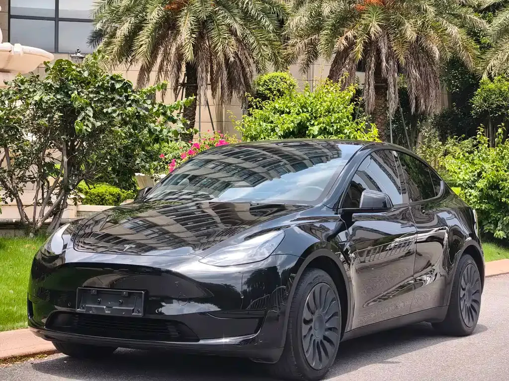 Tesla Model Y — фото 1
