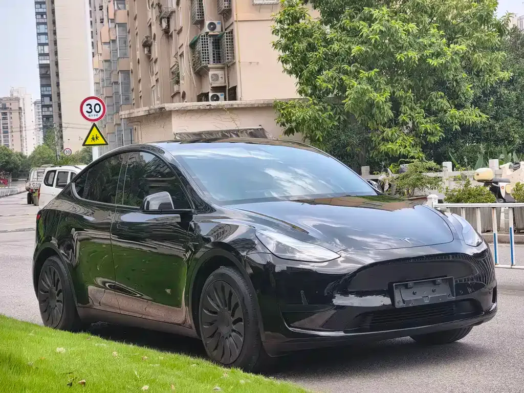 Tesla Model Y — фото 9