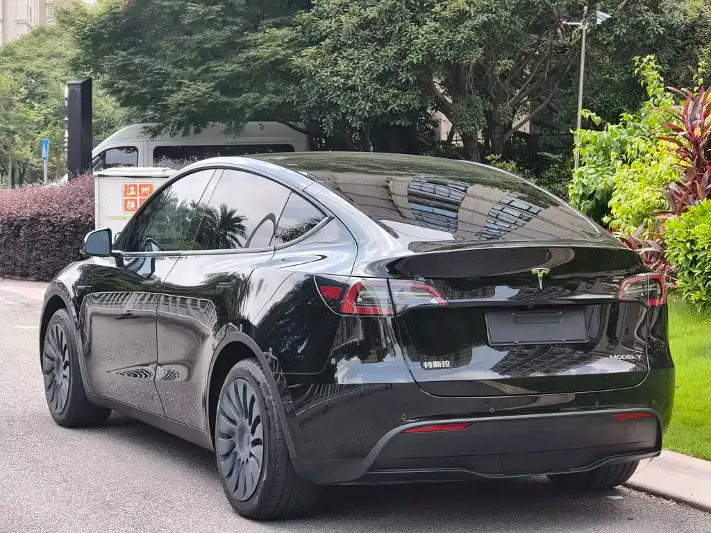 Tesla Model Y — фото 7