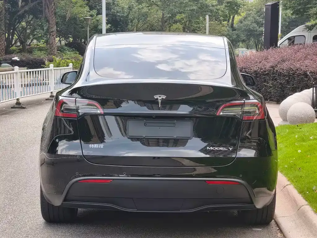 Tesla Model Y — фото 8