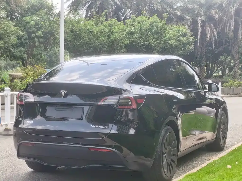 Tesla Model Y — фото 5