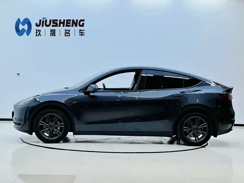 Tesla Model Y — фото 10