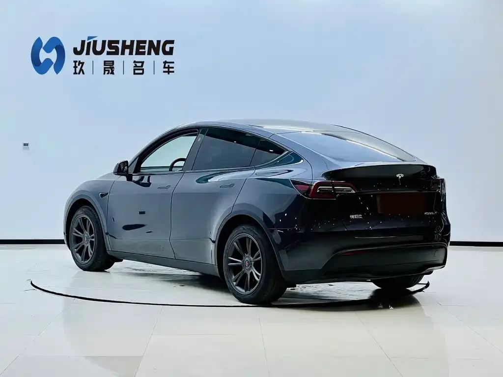 Tesla Model Y — фото 3