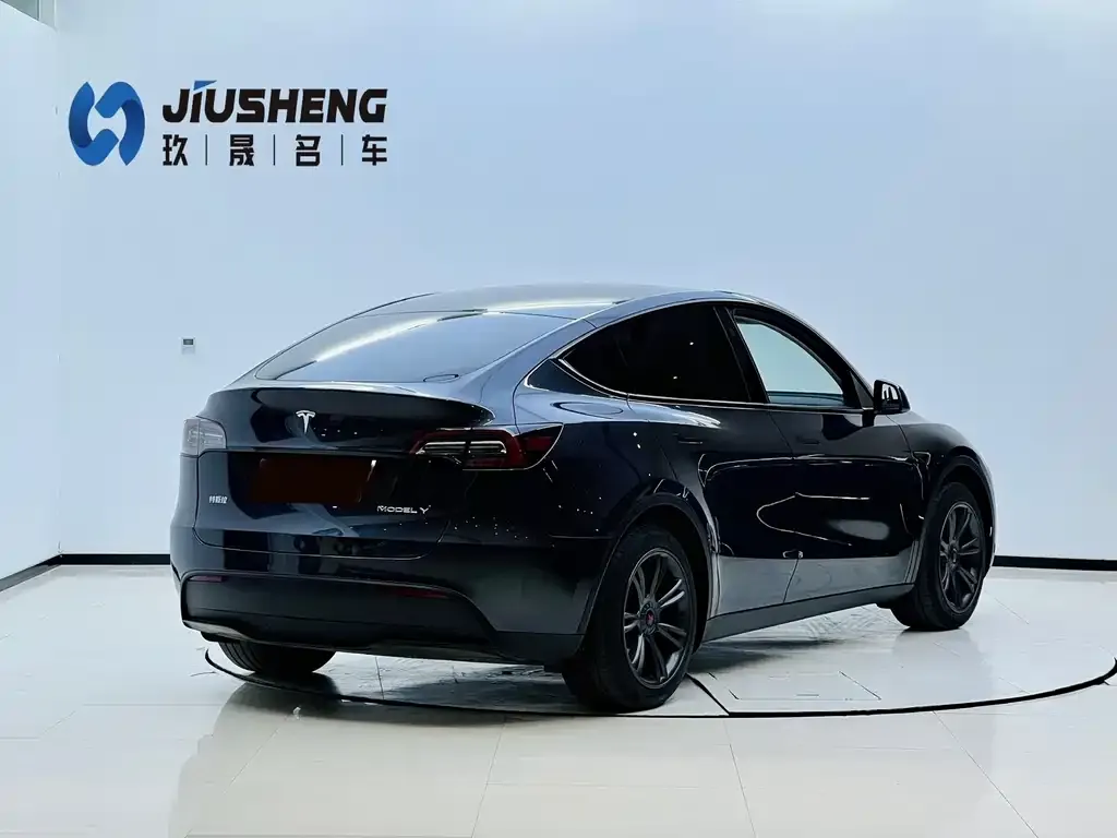 Tesla Model Y — фото 2